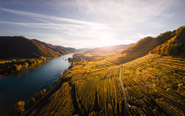 Wachauer Weinberge über der Donau bei Sonnenuntergang