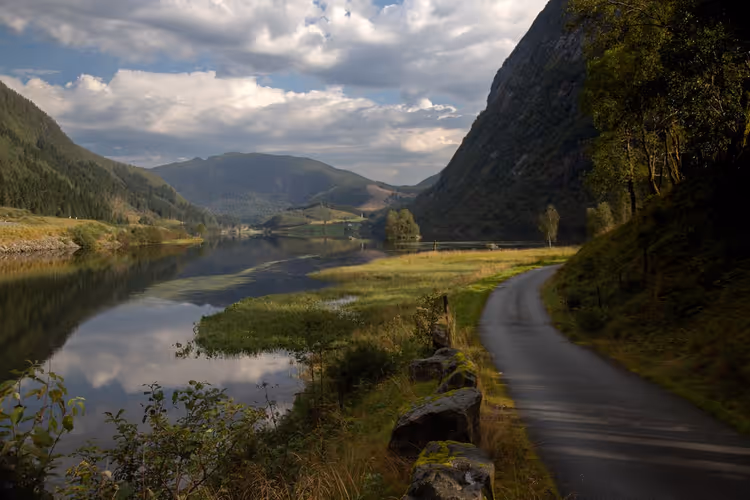 Vei langs en norsk fjord