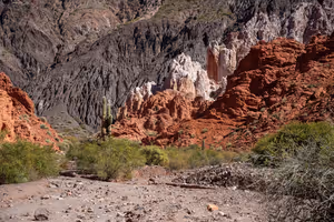 Rote, weiße und dunkelgraue Felsformationen mit hohem Kaktus und grünen Sträuchern an einem trockenen Kiesflussbett in Argentinien