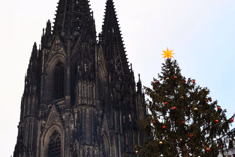 Kölner Dom mit Weihnachtsbaum