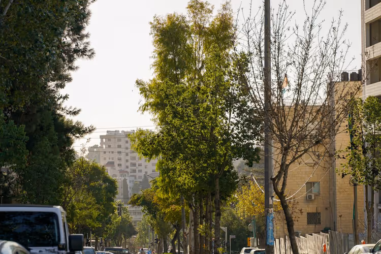 Straße in Ramallah an einem sonnigen Tag