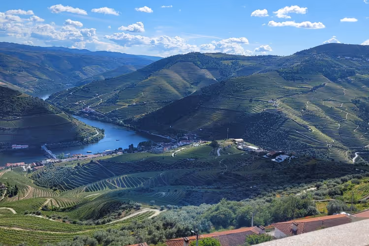 Weinbergterrassen oberhalb des Douro-Tals