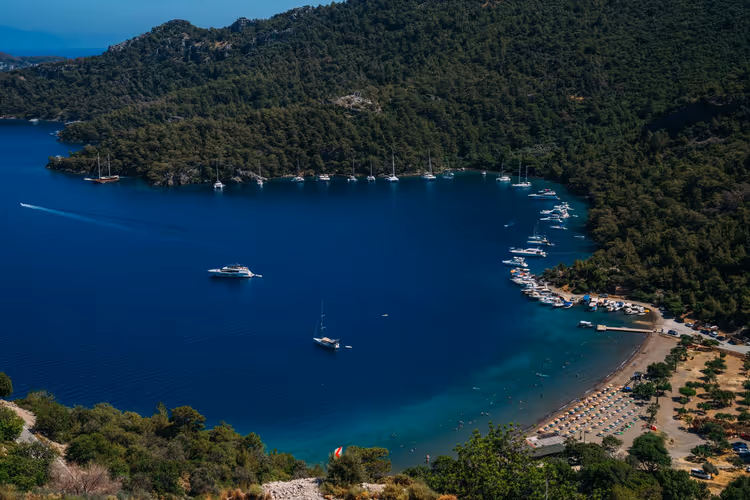 Yeşil tepeler arasında yatlarla dolu bir koy