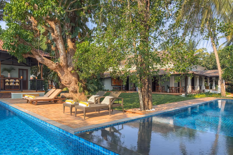 Goa'da tropikal bir tatil köyünde şezlonglar ve villayla havuz