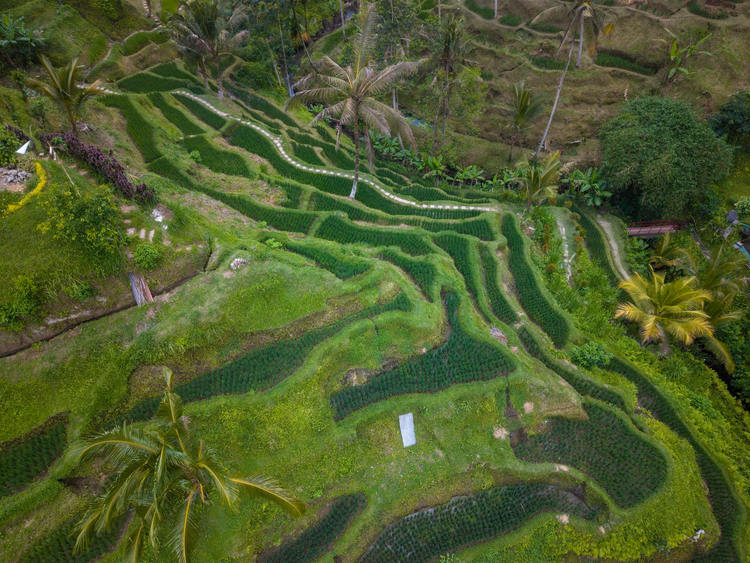 Indonesien: der Reiseführer für die eigene Planung