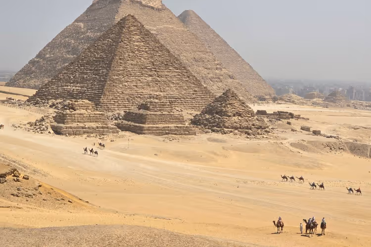 Pyramidene i Giza og kameler i ørkenen