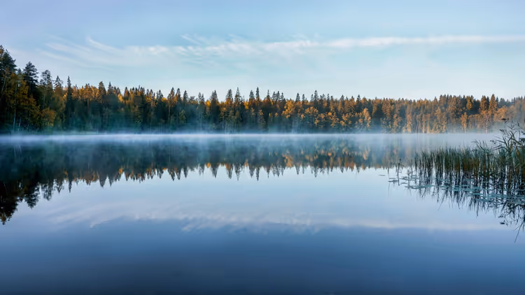 Stiller Waldsee im Morgengrauen mit einem Nebelstreifen über dem Wasser und herbstlich gefärbten Nadelbäumen im Spiegelbild