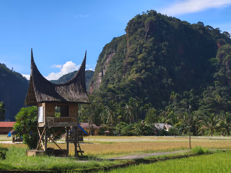 Dette bør du se på Sulawesi: Makassar, Toraja og dykking ved Bunaken