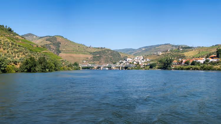 Fluss und terrassierte Weinberge des Douro-Tals
