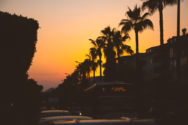 Palmiyeler ve bina silüetleriyle Alanya'da gün batımı