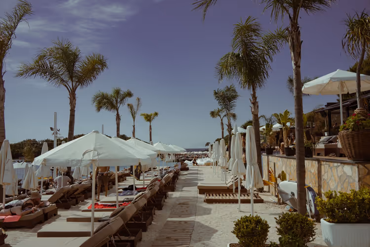 Plaża z palmami, parasolami i leżakami nad morzem