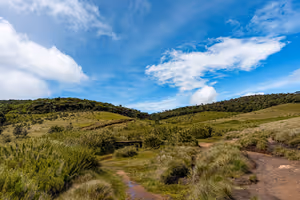 Sentier de terre serpentant dans une prairie à touffes vers des collines boisées, sous un ciel bleu aux nuages blancs, au Sri Lanka