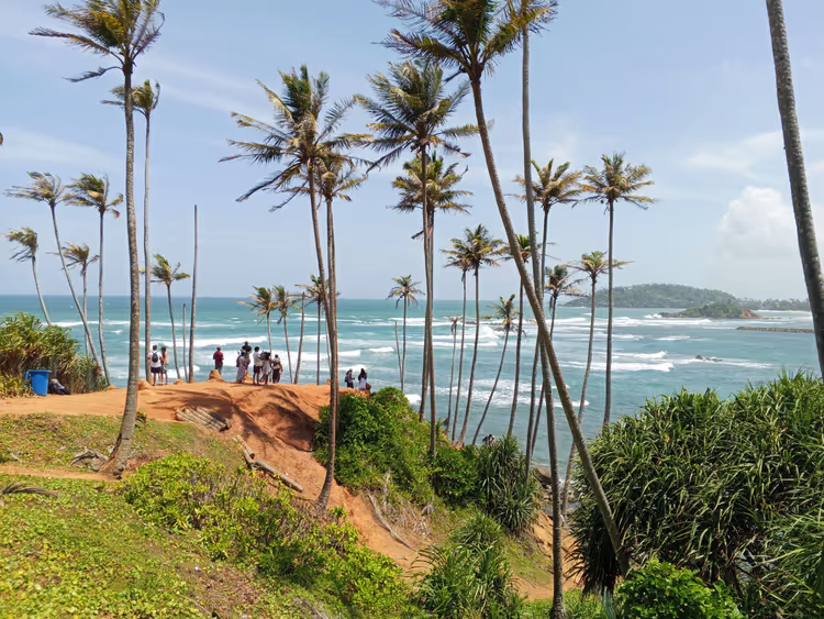 Palmbomen op een rode landtong boven de oceaan in Mirissa