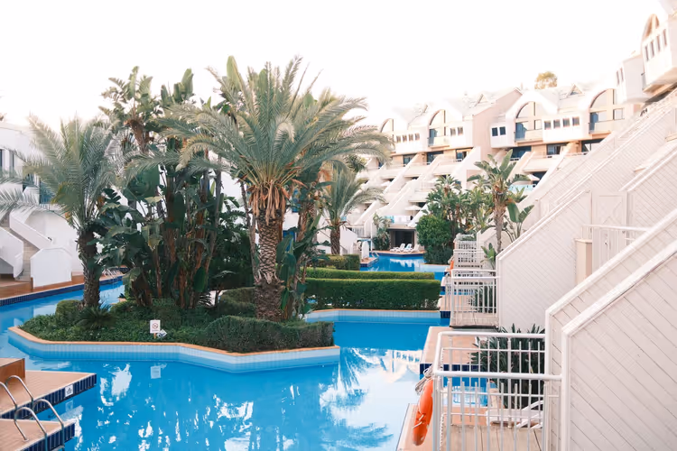 Antalya'da palmiyeli tatil köyü oteli havuzu