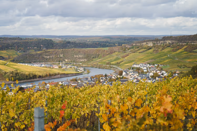 10 Gerechten uit Luxemburg: varkensnek, kachkéis en crémant