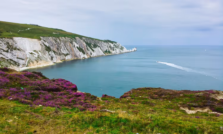 Falaises blanches, mer et bruyère sur la côte