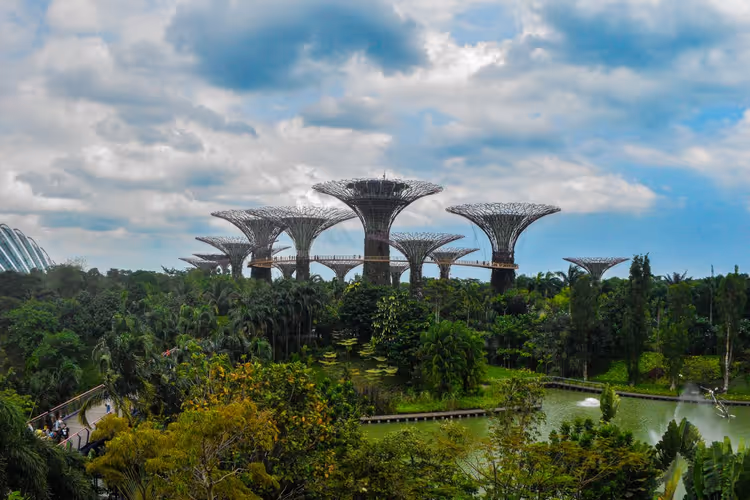 Gardens by the Bay'deki Supertree Grove