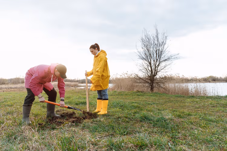 Frivillige som planter et tre ved en innsjø