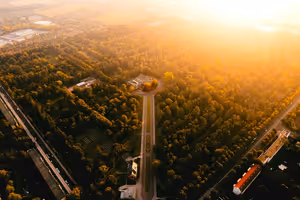 Aerial view of a road through a forest.