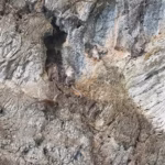 Maya Bay na Tailândia – foto, descrição, como chegar, mapa