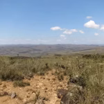 Mount Roraima i Venezuela – beskrivning, foto, hur man tar sig dit, karta