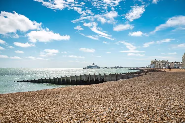 Come ha fatto Eastbourne a decidere di diventare la città più dog-friendly?