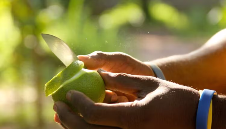 person holding green heart shaped leaf