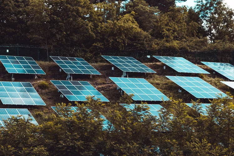 Photovoltaic Distributor – Module im PVhurt Lager Photovoltaic Distributor PVhurt – geprüfte Solarmodule