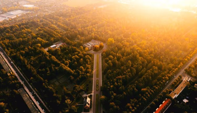 Aerial view of a road through a forest.