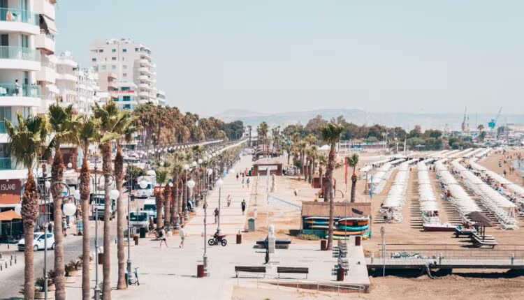 people on beach during daytime