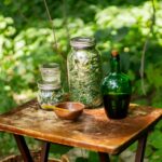 Neem Leaf Tincture vs Neem Seed Oil: Why Plant Part Matters