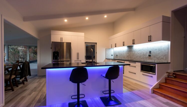 black and purple chairs on brown wooden floor