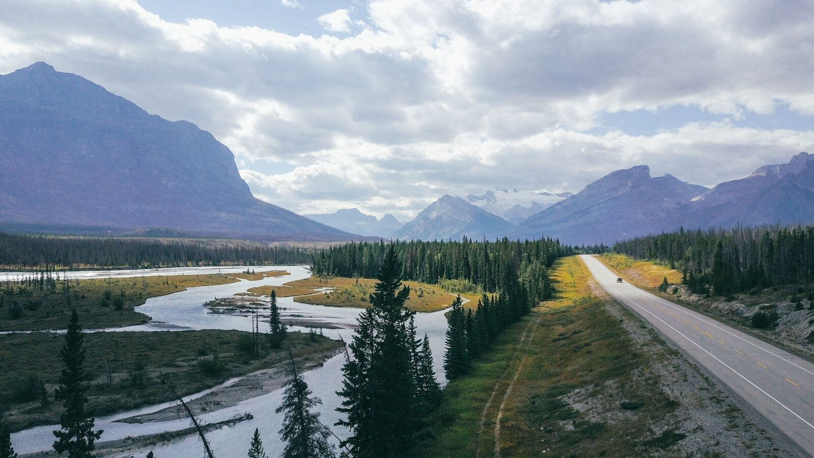 Wildlife warning sign beside a Canadian road