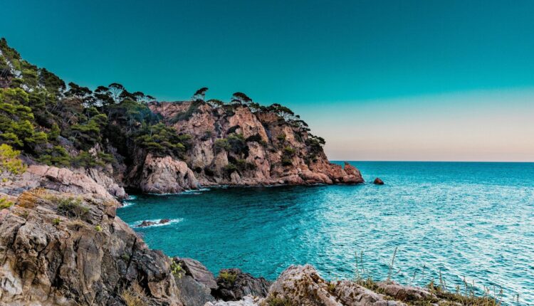 Rocky cliffs with pine trees overlooking the blue Mediterranean sea